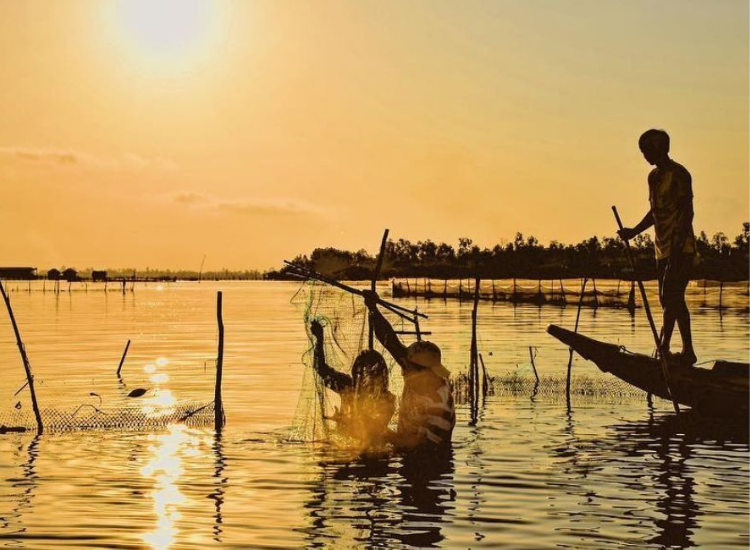 Hoàng hôn tuyệt đẹp tại Đầm Thị Tường Khung cảnh ngắm hoàng hôn Cà Mau
